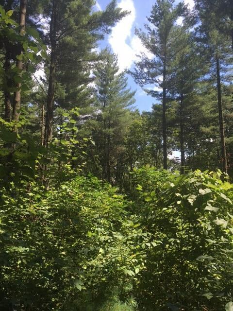 Vore Ridge 1