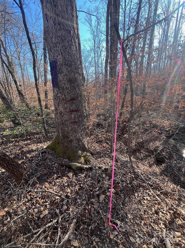 000 Hudlow Rd unit 2, Forest City, NC 28043 - photo 7