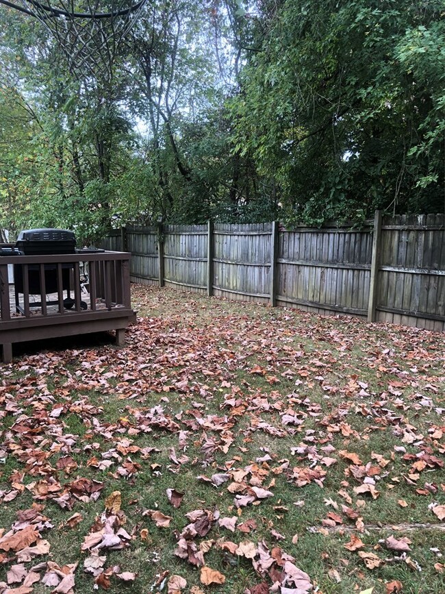 111 N Edgewood Dr, Hopkinsville, KY 42240 - photo 6