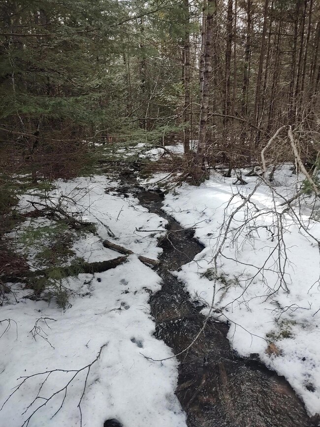Tributary