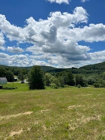 39 Sherman Hill Rd, Sidney, NY 13838 - photo 6