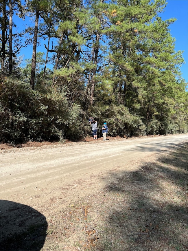 A0181 Northwest Passage, Plantersville, TX 77363 - photo 3