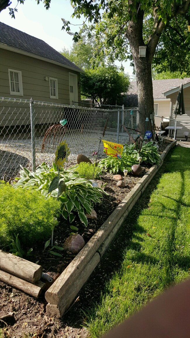 Landscaping. Front
