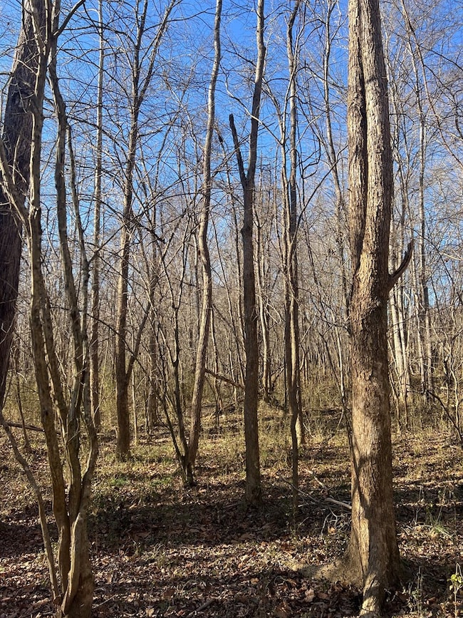 202 Ac. Chestnut Rd, Nathalie, VA 24577 - photo 6