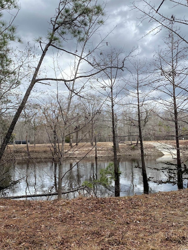 Water view