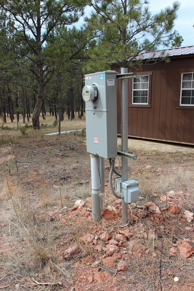 11878 Calamity Jane Dr, West Custer, SD 57747 - photo 6