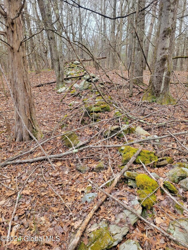 0 Post Hill Rd unit 202415587, Taghkanic, NY 12521 - photo 6