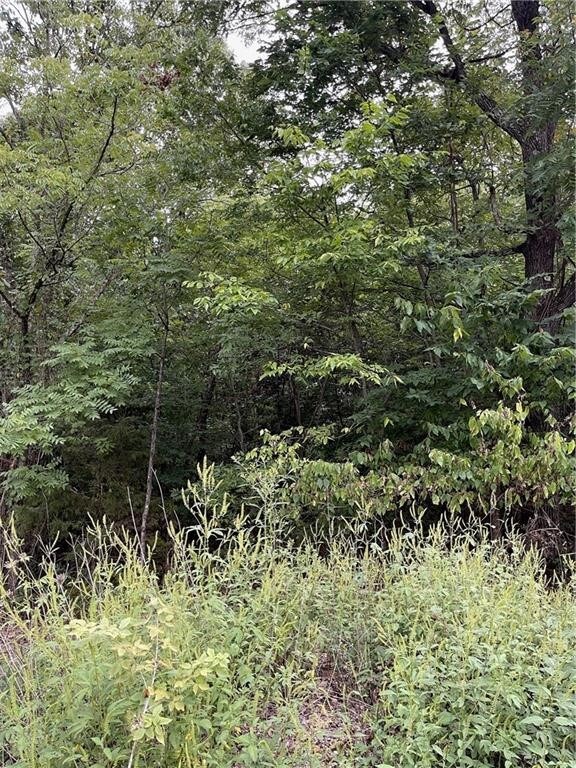 Lot 24 Block 3 Pennine Ln, Bella Vista, AR 72714 - photo 7