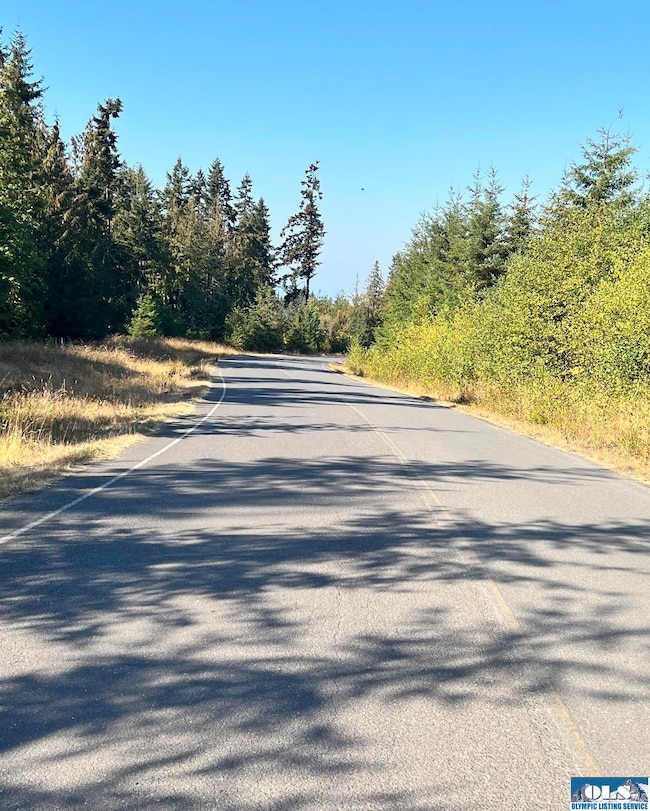 NKA Phillips Pkwy, Port Angeles, WA 98362 - photo 4