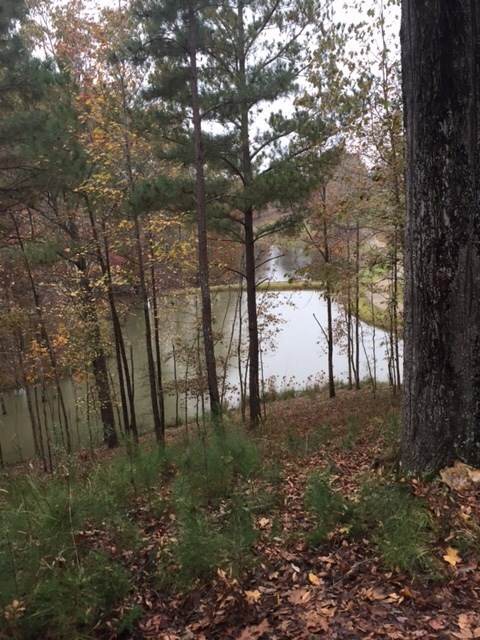 00 Highlands Dr, Oxford, MS 38655 - photo 3