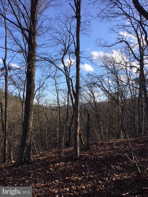 0 Gafia Lodge Rd unit 1000343272, Middletown, VA 22645 - photo 2