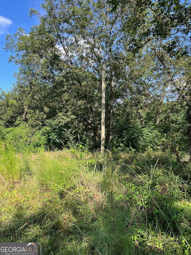 0 N Barnard Ave, Lagrange, GA 30241 - photo 3