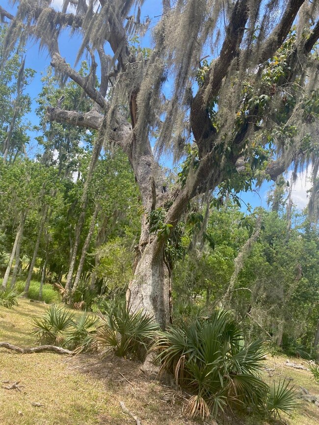 18048 County Road 463, Brazoria, TX 77422 - photo 7