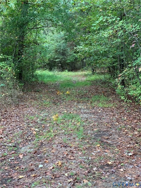 000 Barkwood Dr, Prince George, VA 23875 - photo 5