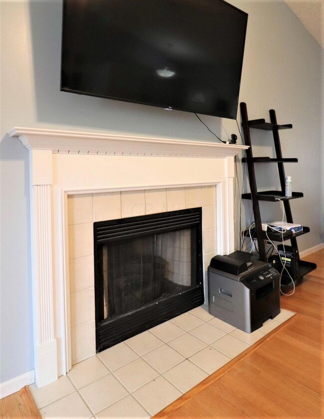 Gas & woodburning fireplace