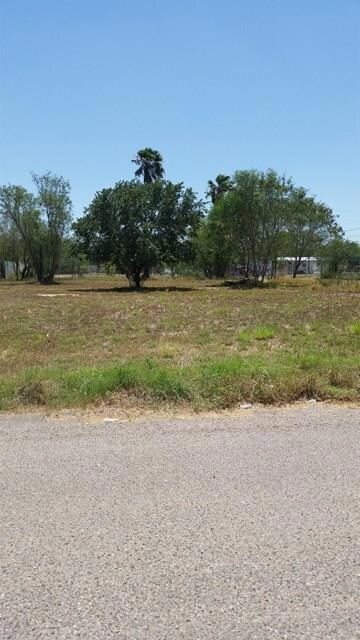 00 Fogata Ave, Donna, TX 78537 - photo 2