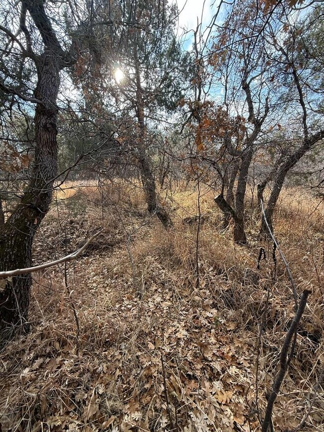 tbd Ponderosa Dr, Colorado City, CO 81019 - photo 6