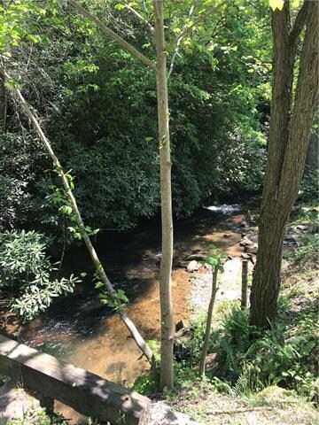 Parker Creek Headwaters flowing through property
