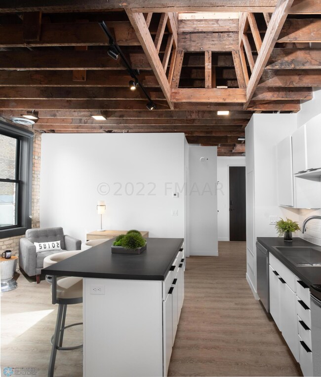 117 Broadway N unit 210, Fargo, ND 58102 - photo 4