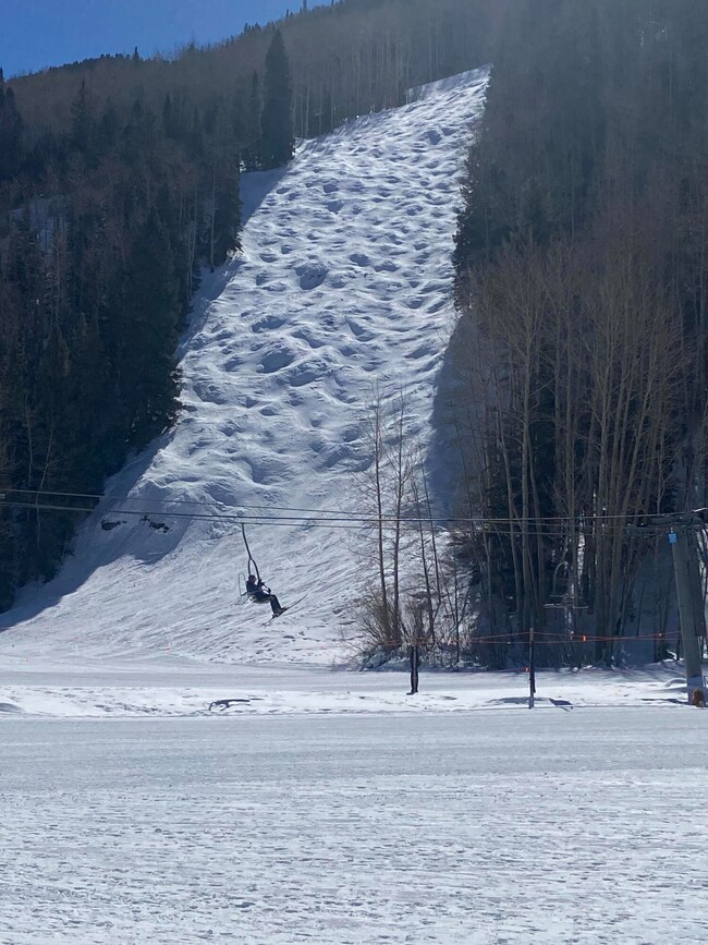 Jilek O'Reillys with skier on chair life
