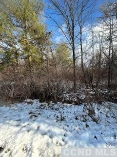 0 - L7 Debbie Dr, Athens, NY 12015 - photo 6