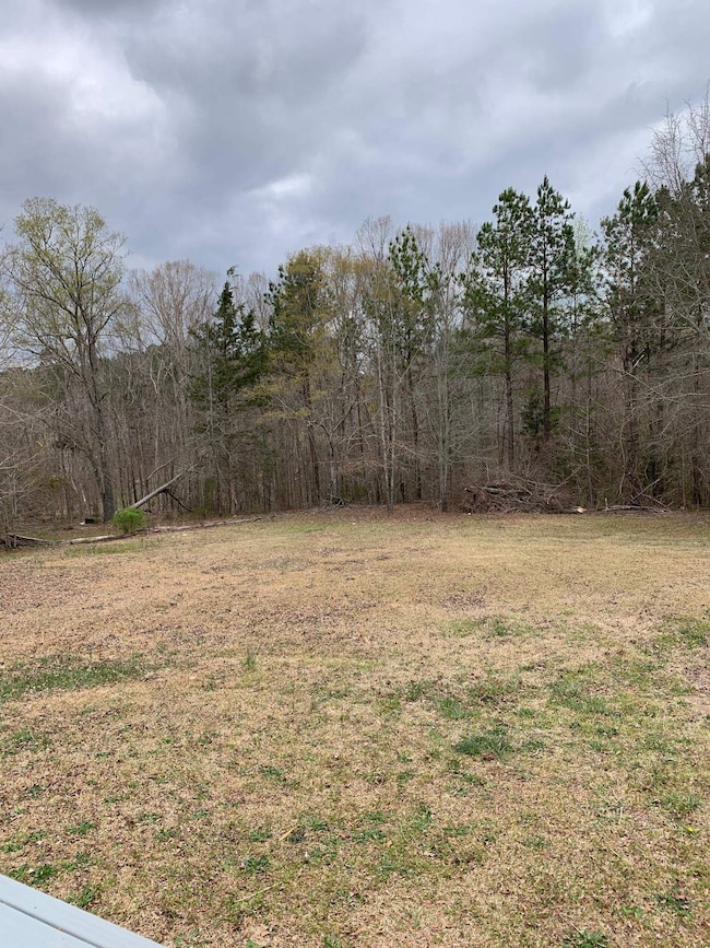 388 Virginia Cir, Waterloo, SC 29384 - photo 7