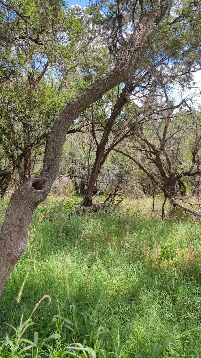 757 Rabbit Rd, Wimberley, TX 78676 - photo 4