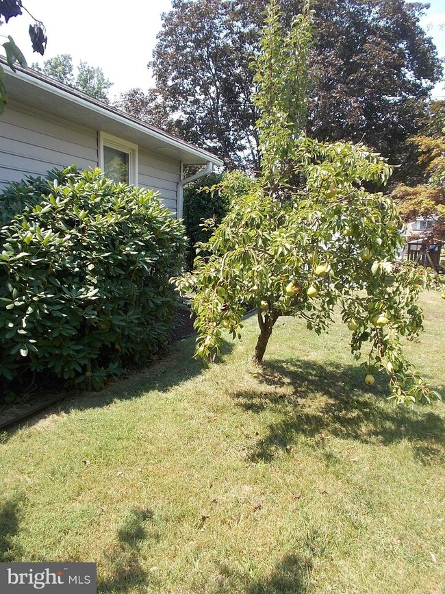 708 Edgewood Rd, Linthicum Heights, MD 21090 - photo 5