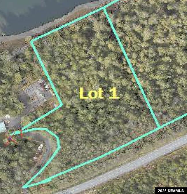 Lot 1 Legal Address Only unit Lot 1, Betton View S, Ketchikan, AK 99901 - photo 4
