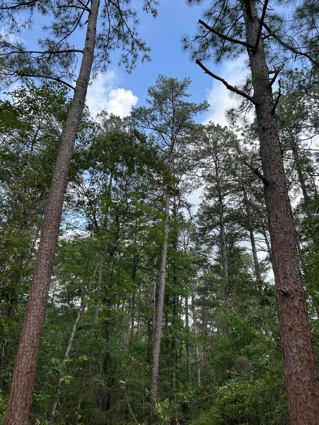 Pic 4 - Lot 16 Bent Creek
