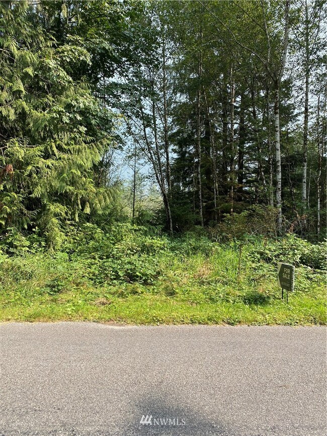 unlisted-address, Arlington, WA 98223 - photo 5