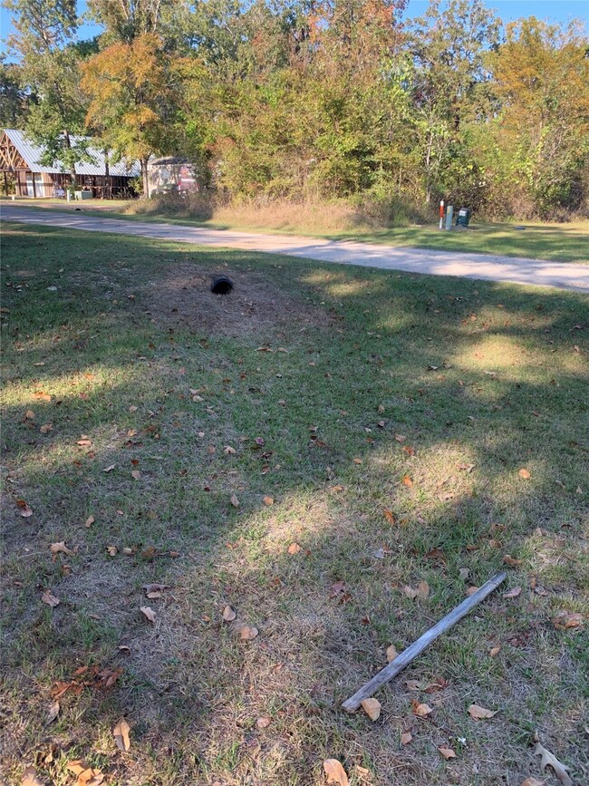 TBD Water Oak Dr, Point Blank, TX 77364 - photo 5