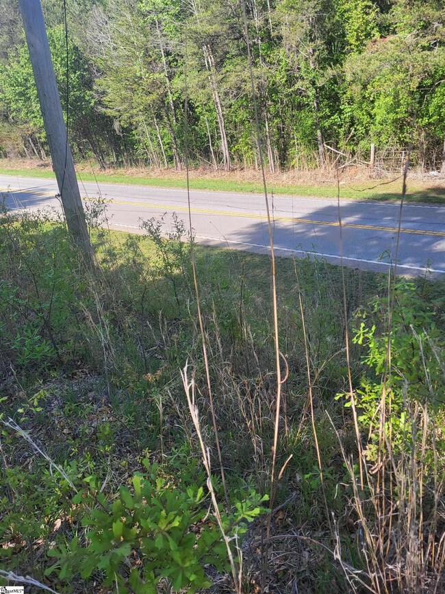 3151 N Highway 14, Greer, SC 29651 - photo 7