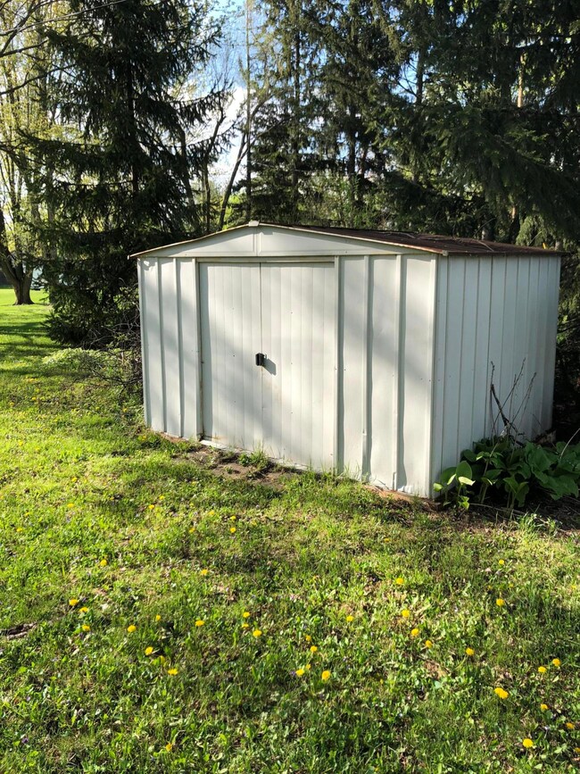 Shed
