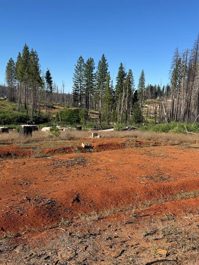 4491 String Canyon Rd, Grizzly Flats, CA 95636 - photo 4