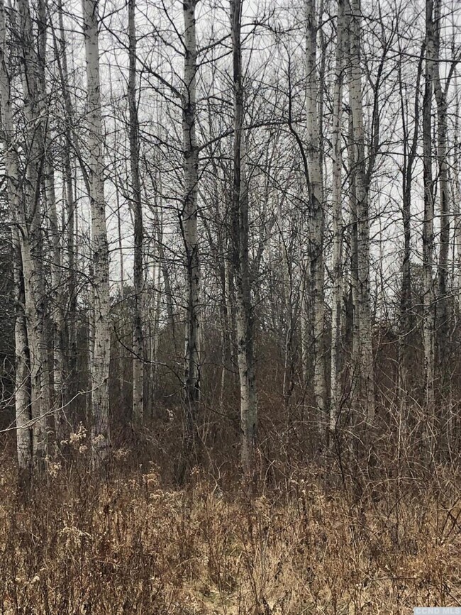 39 - L Debbie Dr, Athens, NY 12015 - photo 2