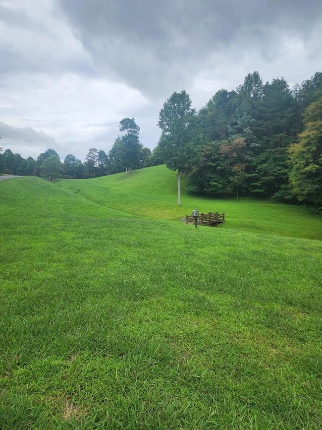 00 Vance Mountain Rd, Murphy, NC 28906 - photo 3