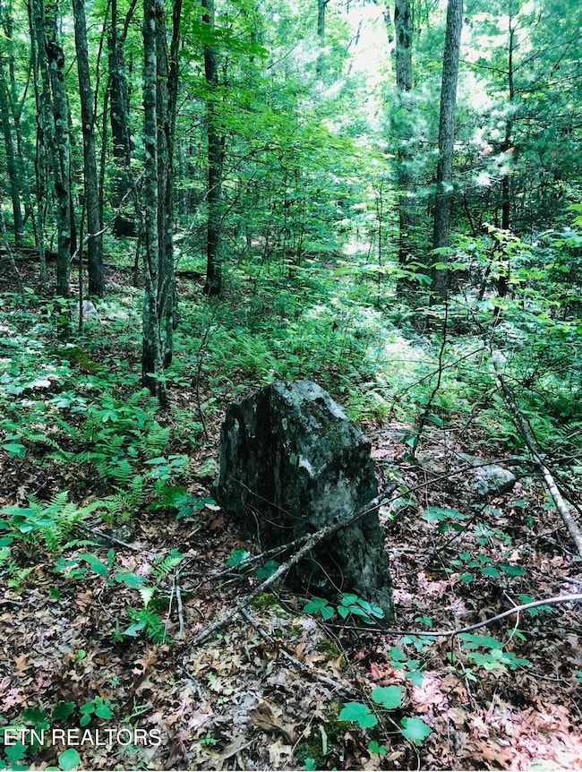 14 Clear Fork Dr, Jamestown, TN 38556 - photo 3