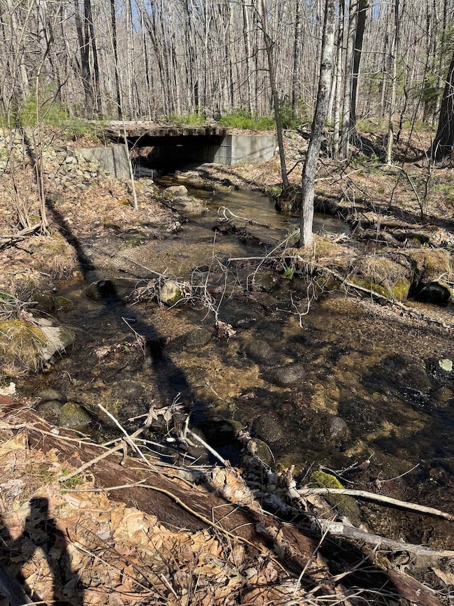 Bridge over Stream