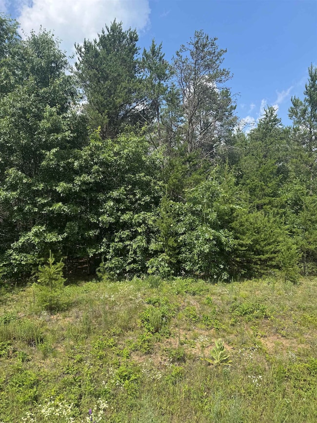 Lot 34 Red Tail Hawk Dr, Stevens Point, WI 54482 - photo 2