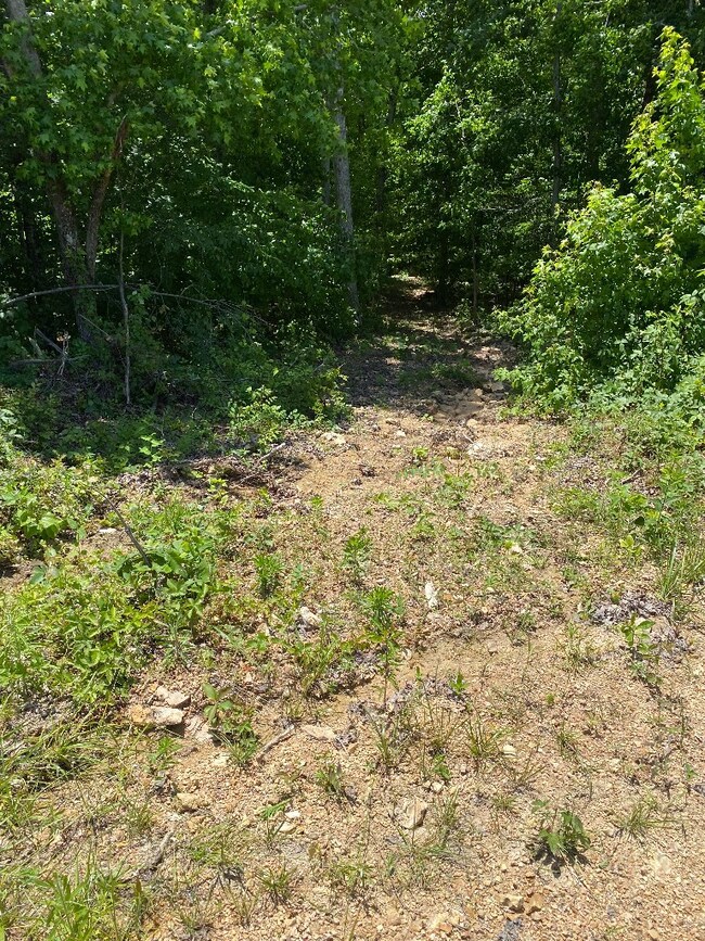 0 Mathis Cemetery Rd unit RTC2620108, Stewart, TN 37175 - photo 7