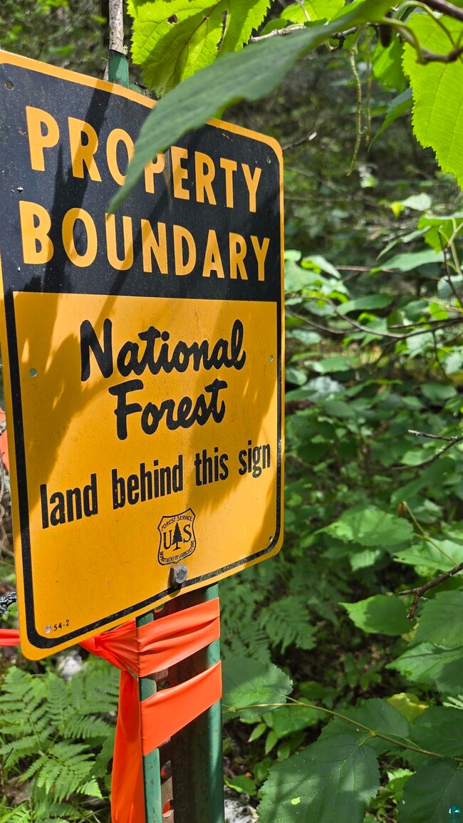 TBD 40N Rollick Creek, Crane Lake, MN 55725 - photo 6