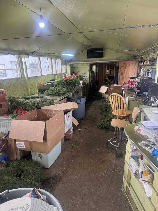 517 Grand Ave, Roodhouse, IL 62082 - photo 6