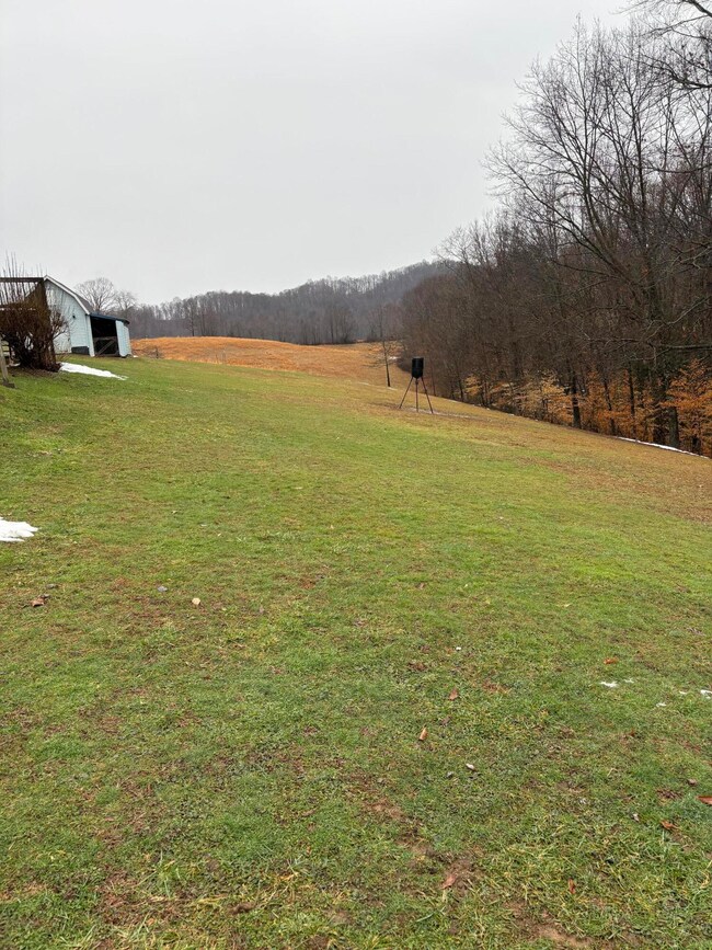 1087 Silo Rd unit 1087, Summersville, WV 26651 - photo 6