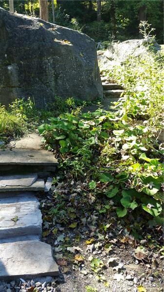 Huge rocks and organic flagstone walkway adds a 