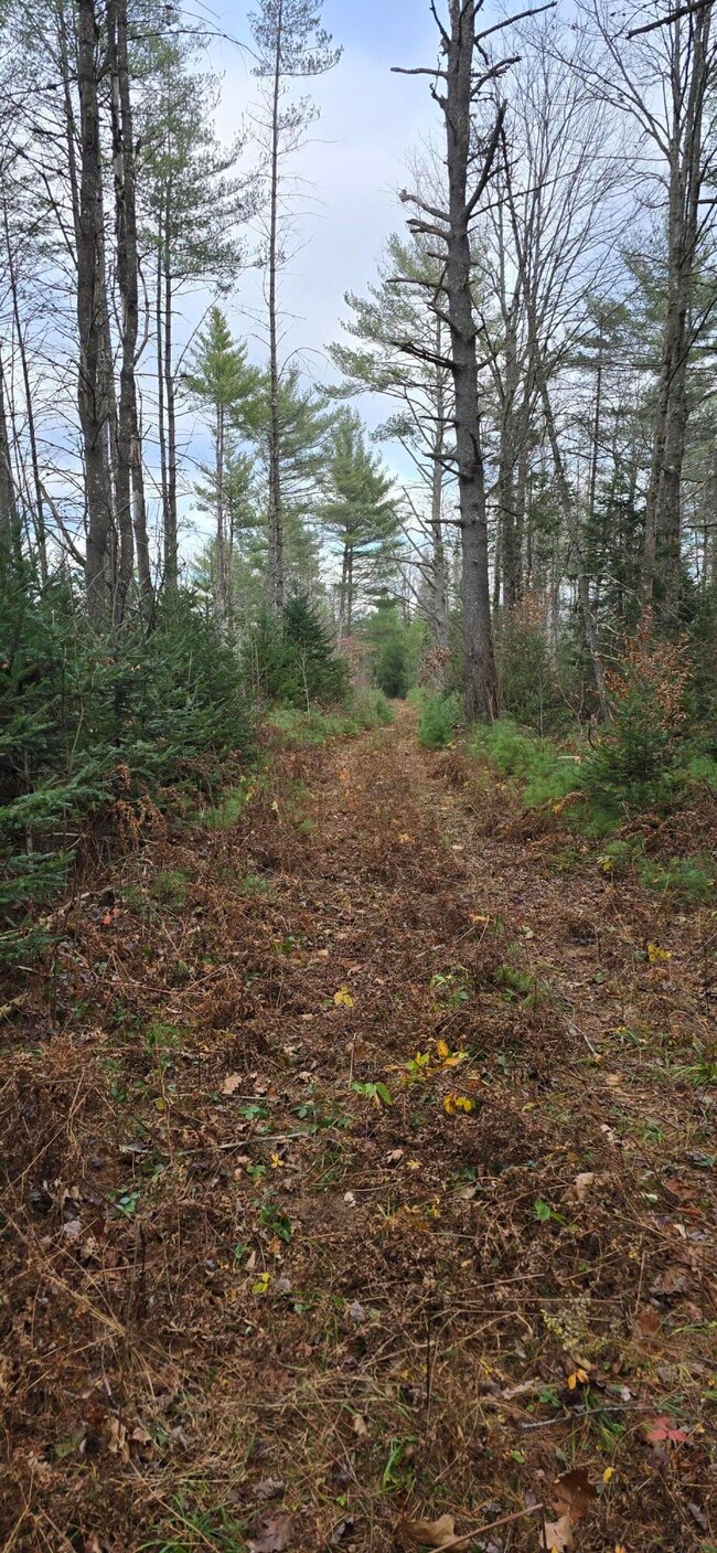 7_Photo_Path