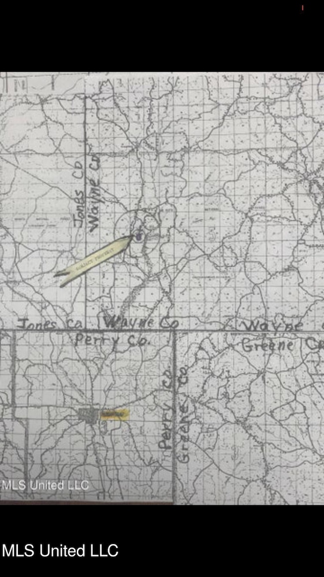 No Shows Rd, Waynesboro, MS 39367 - photo 6