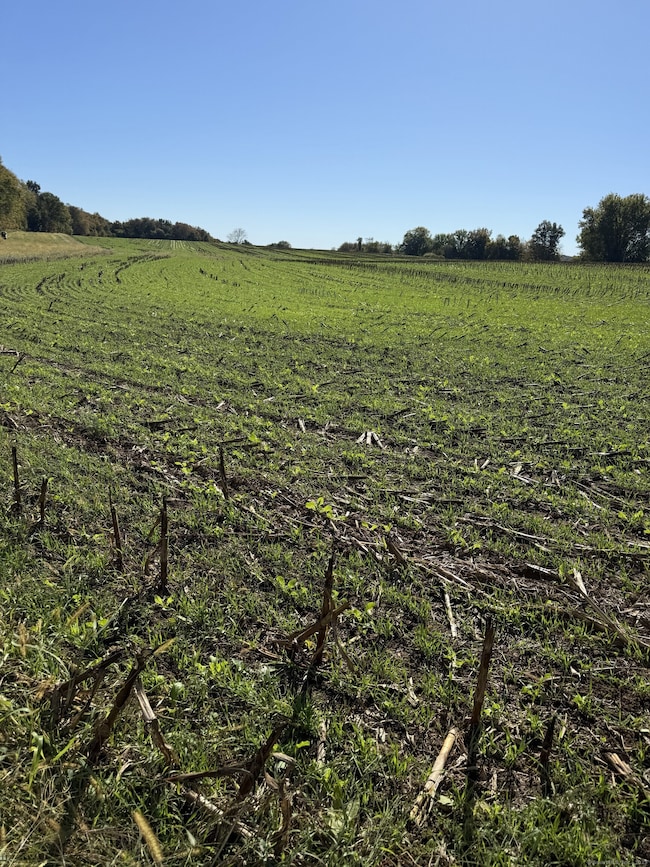 20 Holton Rd, Franklin, CT 06254 - photo 2