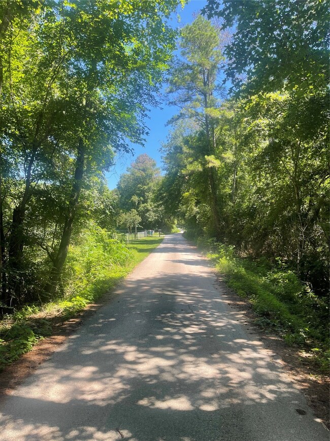 0 Klein, Magnolia, TX 77355 - photo 3