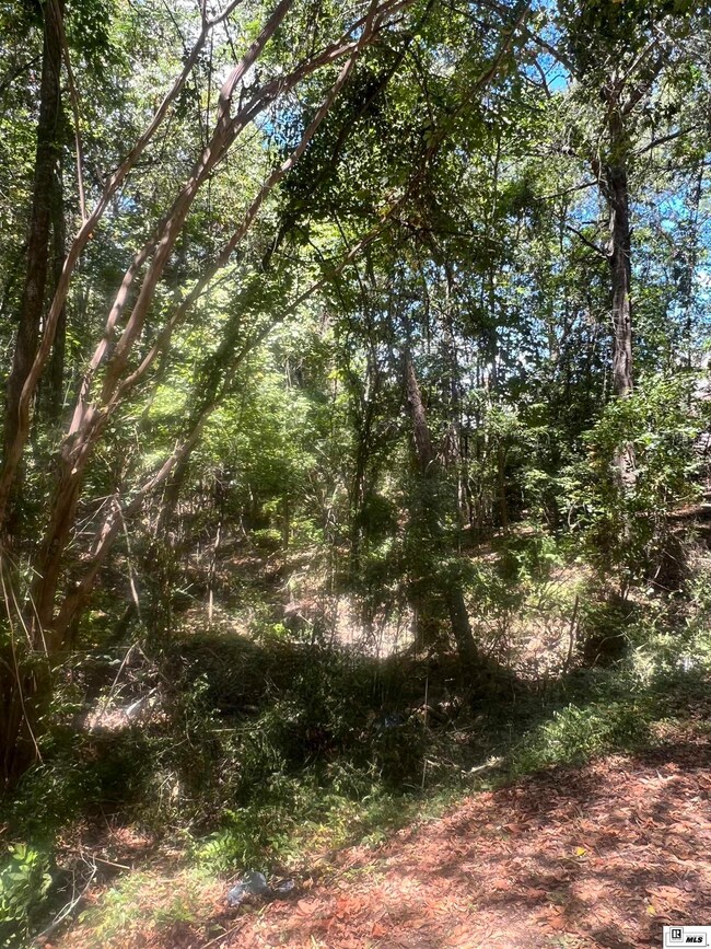 2.35 acres Penny Ln, Ruston, LA 71270 - photo 6